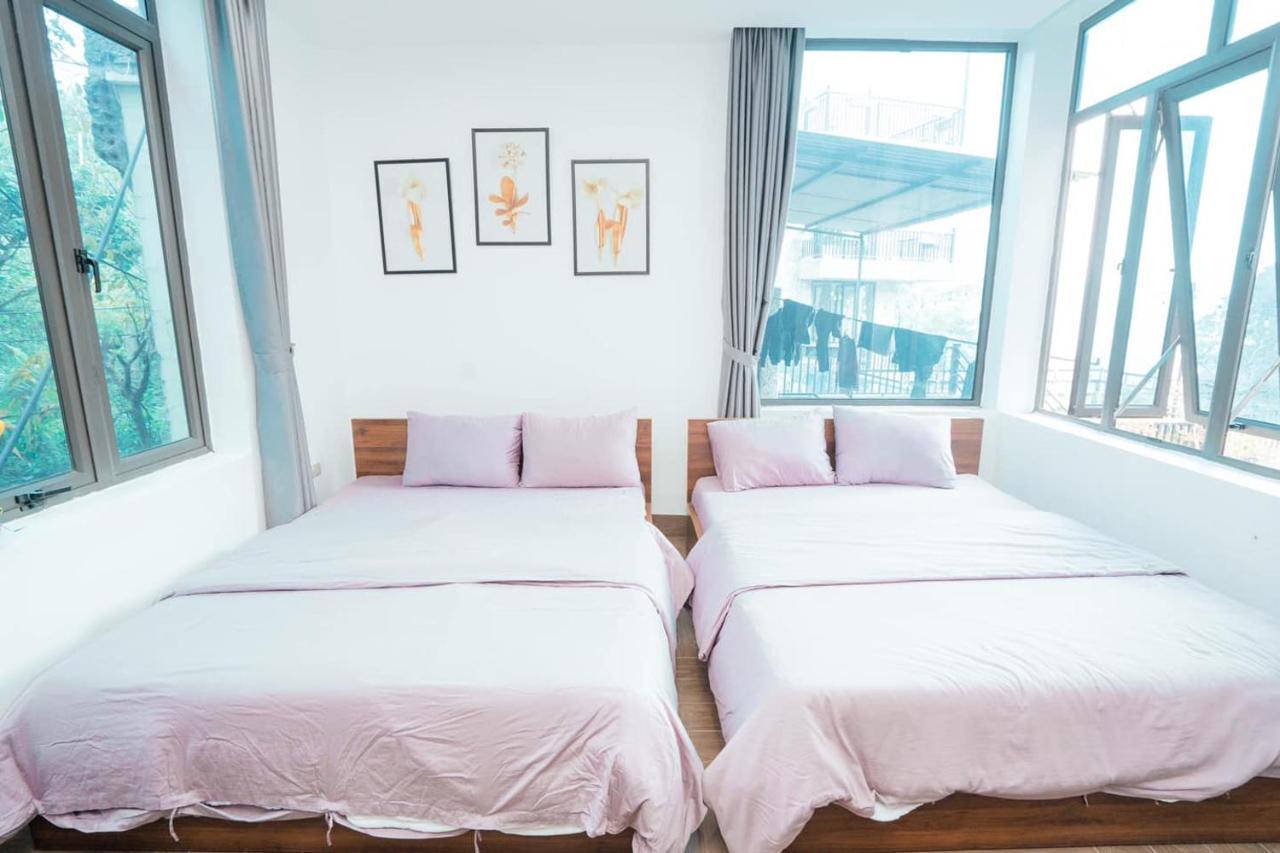 Story Tam Dao - Venuestay Hanoï